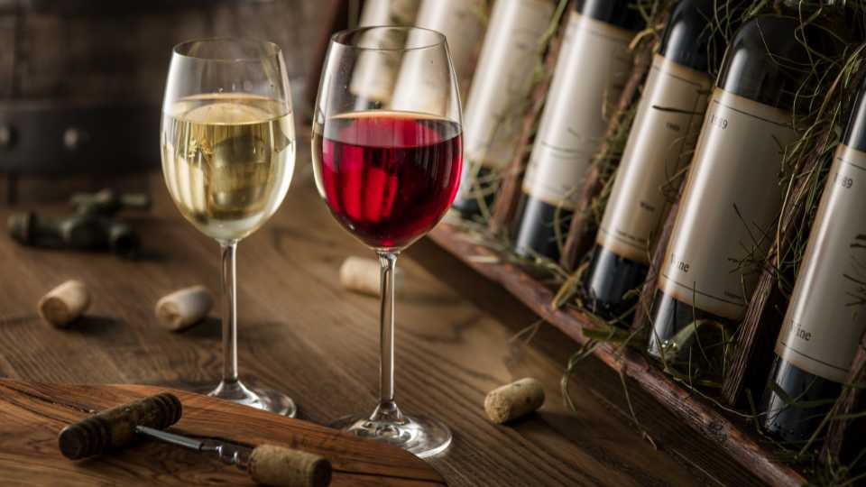 Rdeča vina
